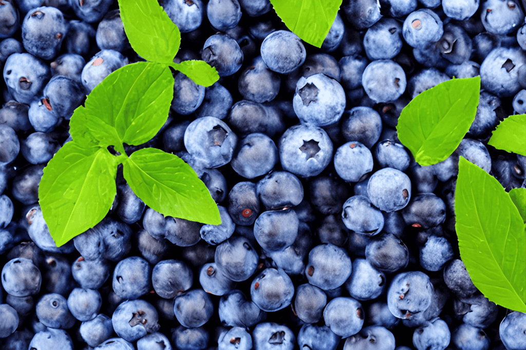 Does Blueberry help with Memory and Sleep?